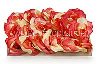 Coral & Lemon Rose Flower