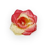 Coral & Lemon Rose Flower