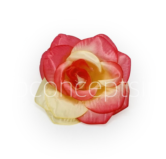 Coral & Lemon Rose Flower
