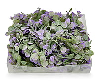 Purple & Green Blume Leaves