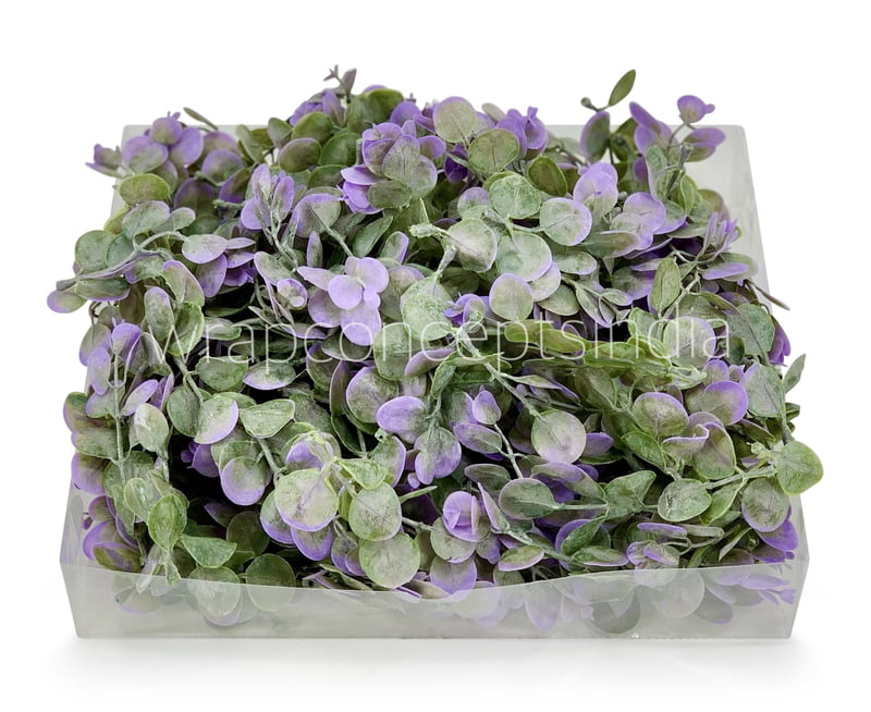 Purple & Green Blume Leaves