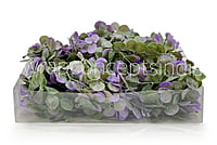 Purple & Green Blume Leaves