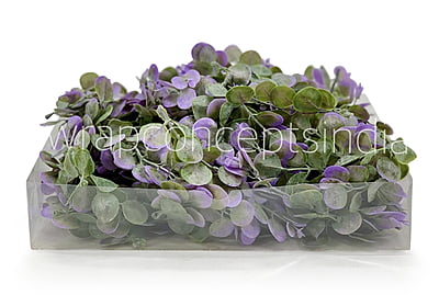 Purple & Green Blume Leaves