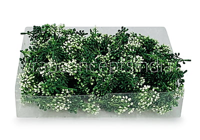 Dark Green Baby  Breath