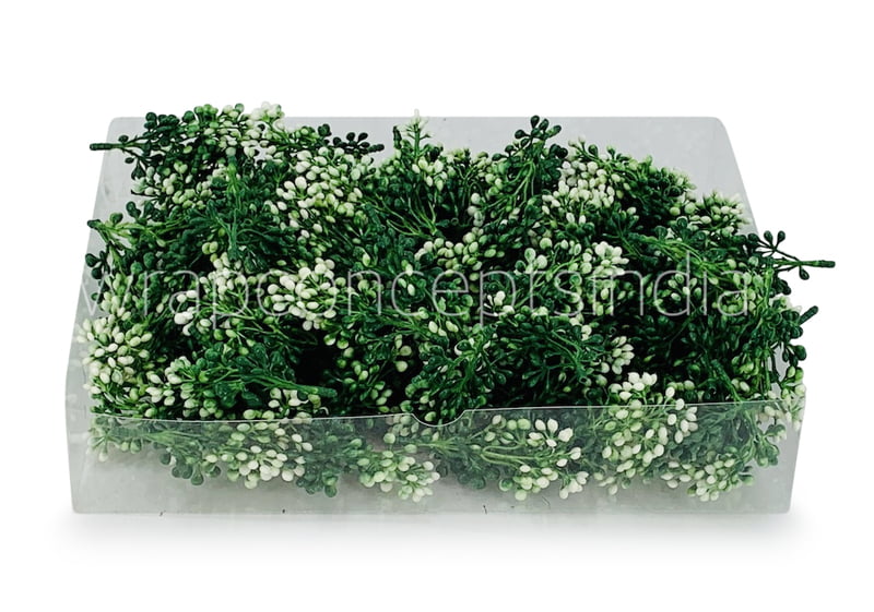 Dark Green Baby  Breath