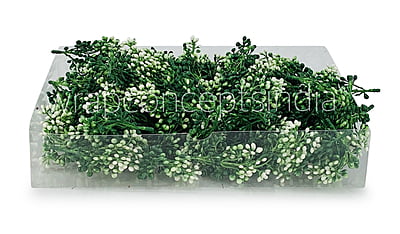 Dark Green Baby  Breath