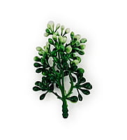 Dark Green Baby  Breath