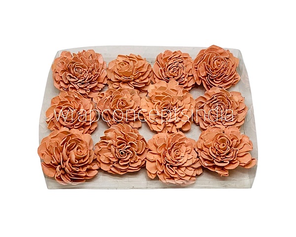 Carrot Sola Wood Dahlia