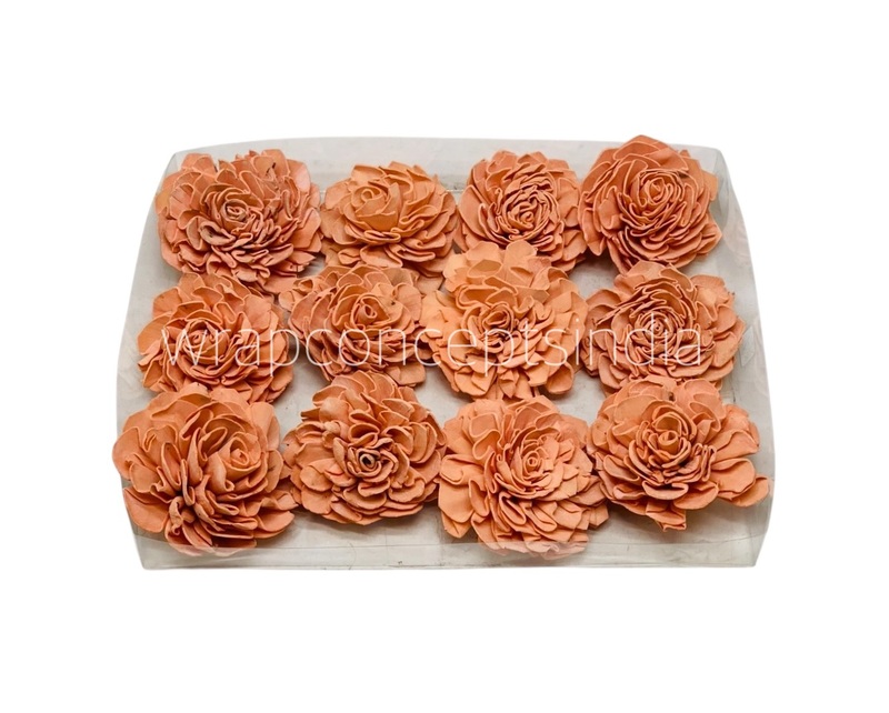 Carrot Sola Wood Dahlia