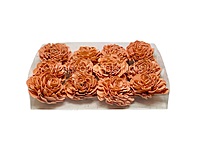 Carrot Sola Wood Dahlia