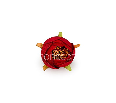 Peony Medium -Red