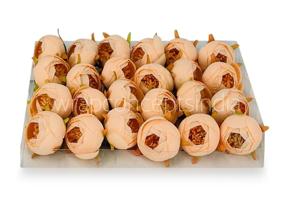 Peony Medium -Peach