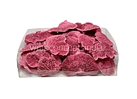 Pink Dried Botanical Pods