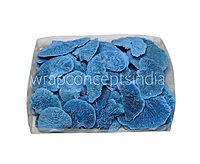 Blue Dried Botanical Pods