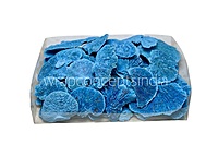 Blue Dried Botanical Pods