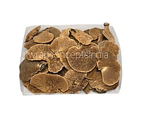 Natural Dried Botanical Pods – Rustic Brown Decor Fillers