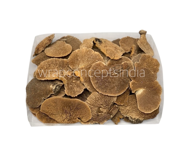 Natural Dried Botanical Pods – Rustic Brown Decor Fillers