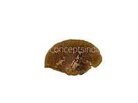 Natural Dried Botanical Pods – Rustic Brown Decor Fillers