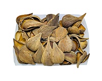 Dried Botanical Shell Pods