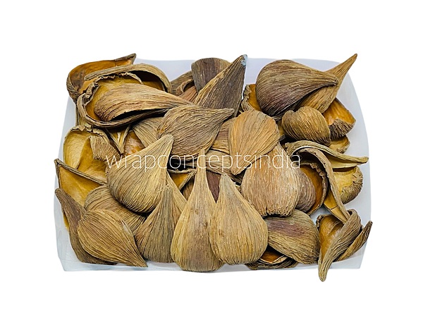 Dried Botanical Shell Pods