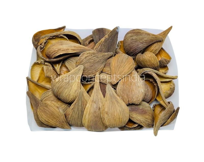 Dried Botanical Shell Pods