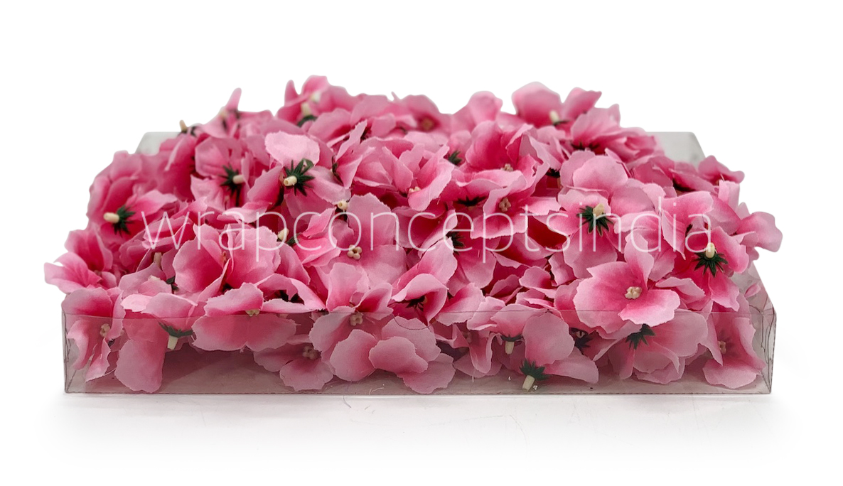Pink Hydrangea Flowers
