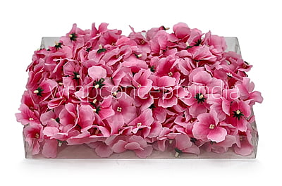 Pink Hydrangea Flowers Pink Hydrangea Flowers