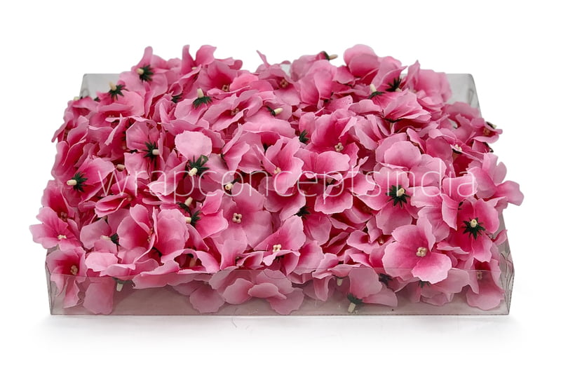 Pink Hydrangea Flowers Pink Hydrangea Flowers