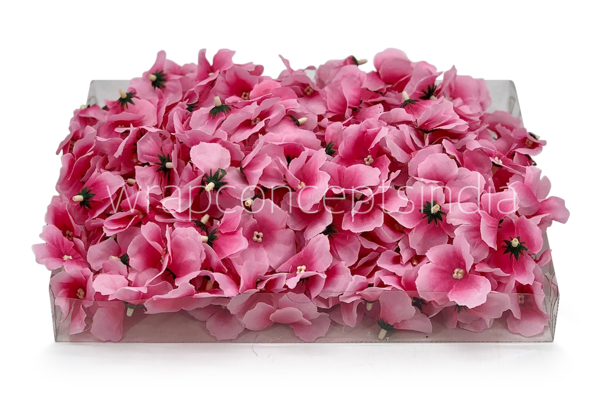 Pink Hydrangea Flowers