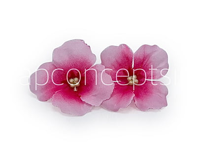 Pink Hydrangea Flowers Pink Hydrangea Flowers