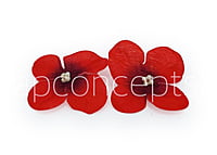 Red Hydrangea Flowers