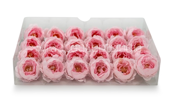 Baby Pink Peonies