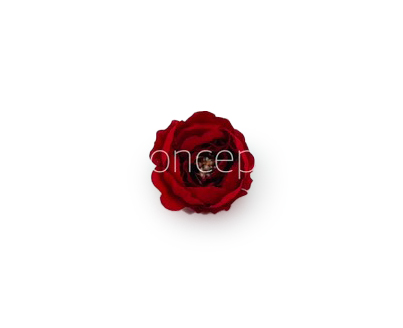Red Peonies