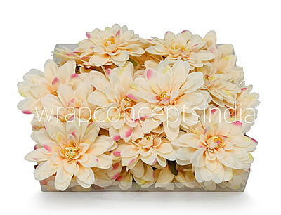 Butter Cream with hints of Pink Dahlias