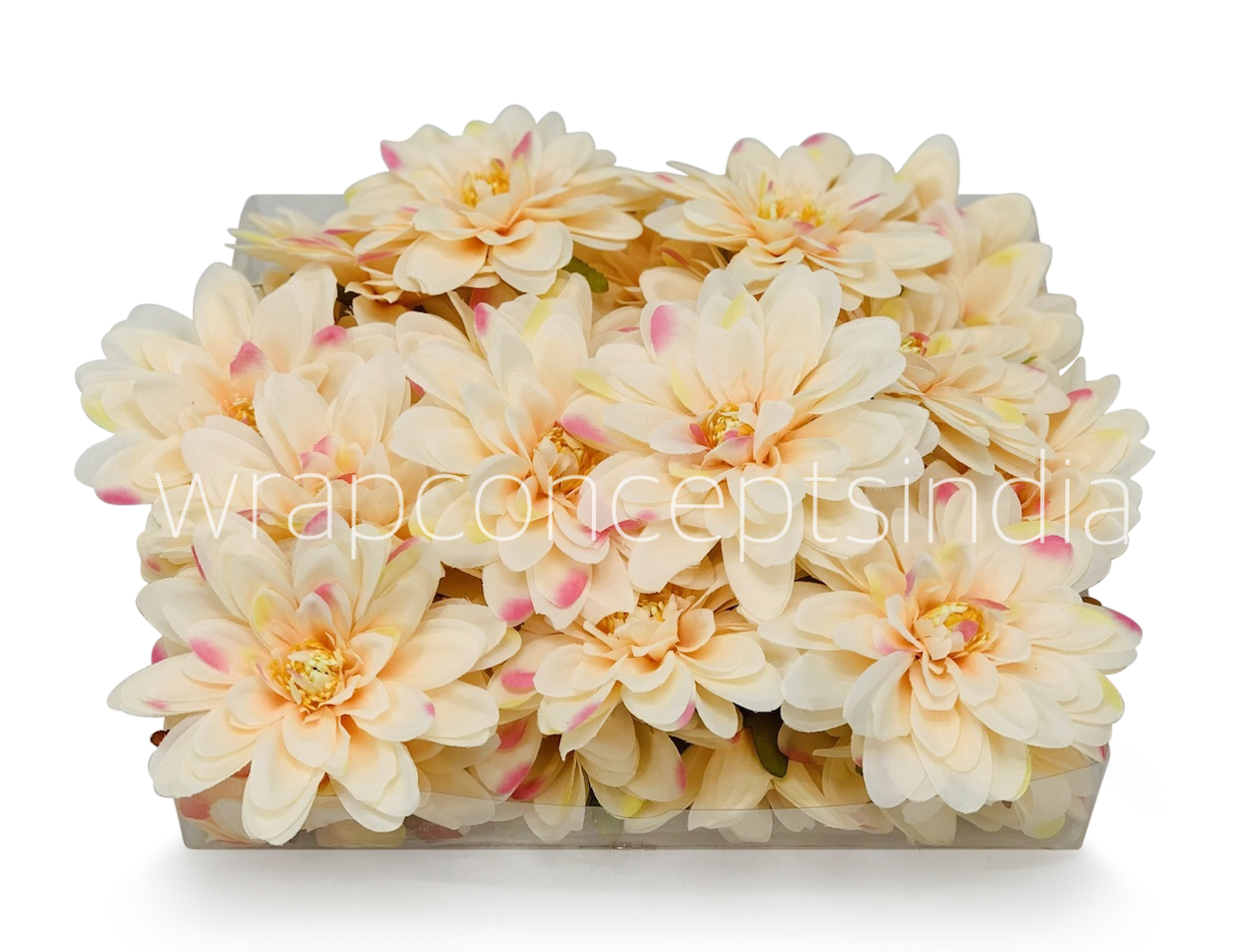 Butter Cream with hints of Pink Dahlias