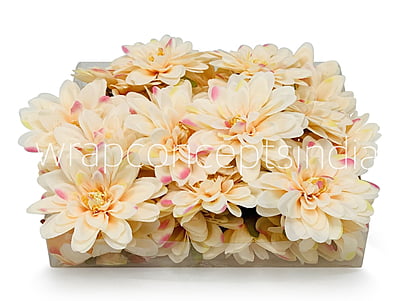 Butter Cream with hints of Pink Dahlias