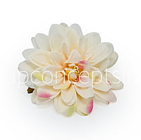 Butter Cream with hints of Pink Dahlias