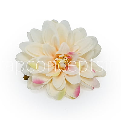 Butter Cream with hints of Pink Dahlias