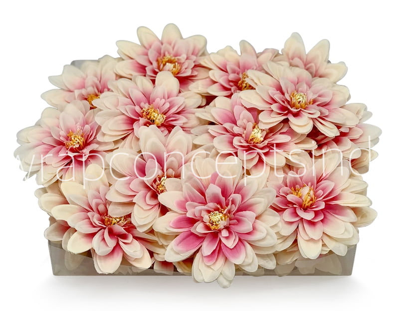 Salmon with Pink Dahlias