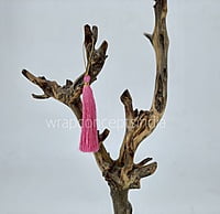 Pink Tassels