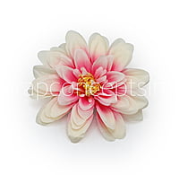 Salmon with Pink Dahlias