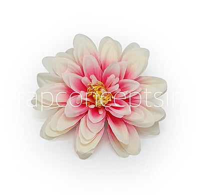 Salmon with Pink Dahlias