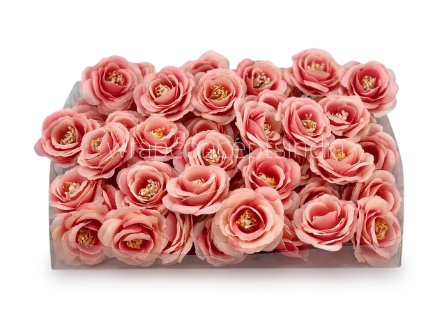 Peachy Pink Rose Flower