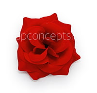 Red Velvet Rose