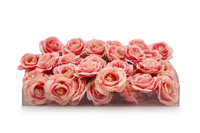 Peachy Pink Rose Flower