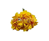 Sunshine Mini Blossoms