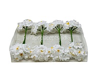 Snow White Mini Blossoms