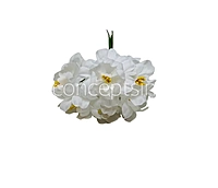 Snow White Mini Blossoms