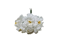 Snow White Mini Blossoms