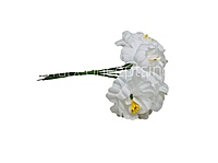 Snow White Mini Blossoms